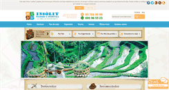 Desktop Screenshot of insolitviatges.com